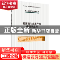 正版 能源投入占用产出模型及应用 夏炎,王会娟著 科学出版社 97