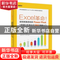 正版 Excel革命!超级数据透视表Power Pivot与数据分析表达式DAX