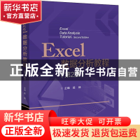 正版 Excel数据分析教程(第2版) 段杨 电子工业出版社 9787121421