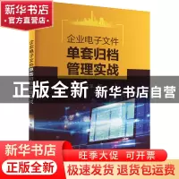 正版 企业电子文件单套归档管理实战 王洋 中国水利水电出版社 9