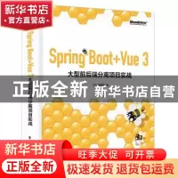 正版 Spring Boot+Vue 3 大型前后端分离项目实战 十三 电子工业