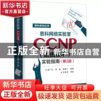 正版 思科网络实验室CCNP(路由技术)实验指南 梁广民,徐磊,谢晓