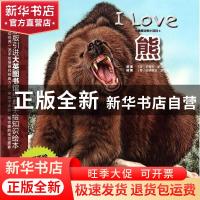 正版 熊 (英)史蒂夫·帕克原著 西安出版社 9787554103036 书籍