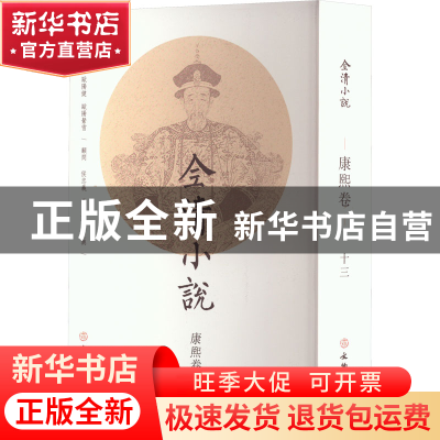 正版 全清小说:十三:康熙卷 欧阳健 文物出版社 9787501078455 书