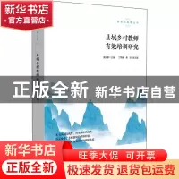 正版 县域乡村教师有效培训研究 戴礼章 丁常春 黄琼 赵庆来 华东
