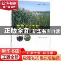 正版 银川平原湿地芦苇生态监测与实验研究 何彤慧,郭宏玲主编