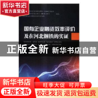 正版 国有企业融资效率评价及在河北钢铁的实证 丁超著 冶金工业