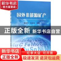 正版 国外非能源矿产 杨卉芃,冯安生主编 冶金工业出版社 978750