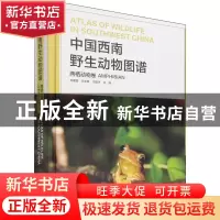 正版 中国西南野生动物图谱,两栖动物卷,Amphibian 朱建国,饶定齐