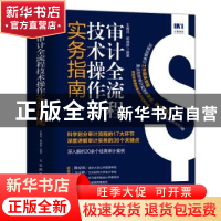 正版 审计全流程技术操作实务指南 王鹰武 胡潘婷 人民邮电出