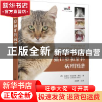 正版 猫口腔和牙科病理图谱 [西]哈维尔·科拉多斯·索托 化学工业