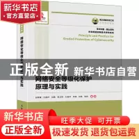 正版 网络安全等级化保护原理与实践 编者:安辉耀//沈昌祥//张鹏/