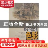 正版 中国美术学院色彩教学作品范例 全国十所高等美术院校造型基
