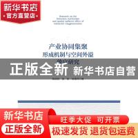 正版 产业协同集聚形成机制与空间外溢效应研究 陈国亮 浙江大学