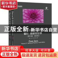 正版 Java核心技术(卷II):高级特性(第10版 英文版)(上下) [美]凯