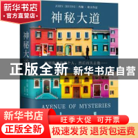 正版 神秘大道 [美]约翰·欧文 江苏凤凰文艺出版社 9787559454294