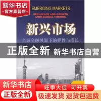 正版 新兴市场:全球金融风暴下的弹性与增长:resilience and gr