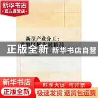 正版 新型产业分工:reconstructing the pattern of regional dev