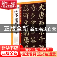 正版 颜真卿《多宝塔碑》 张鹏涛 主编 中央编译出版社 97875117