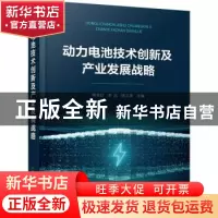 正版 动力电池技术创新及产业发展战略(精) 杨全红,李泓,陈立泉