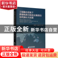 正版 三链融合视角下跨境电商与制造业集群的协同演化与发展 杨丽