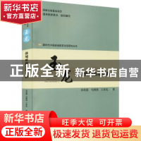 正版 玉龙:县域贫困治理创新 孙兆霞,毛刚强,王春光 研究出版社 9