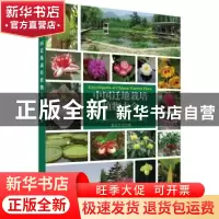 正版 中国迁地栽培植物大全:第九卷:杨梅科 商陆科 黄宏文主编 科