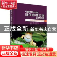 正版 中国井冈山地区陆生脊椎动物彩色图谱 王英永等著 科学出版