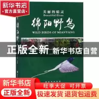 正版 美丽的精灵:绵阳野鸟:wild birds of mianyang 王昌大编著