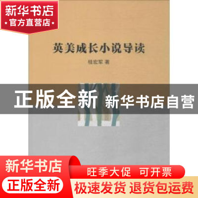 正版 英美成长小说导读 桂宏军著 华中科技大学出版社 9787568038