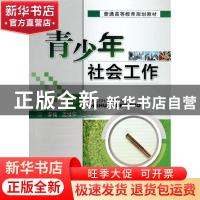 正版 青少年社会工作 李楠,孟续铎主编 机械工业出版社 97871114