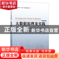 正版 大数据原理及实践 张晓燕 上海财经大学出版社 97875642390