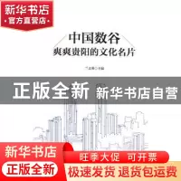 正版 中国数谷:爽爽贵阳的文化名片 兰义彤主编 光明日报出版社