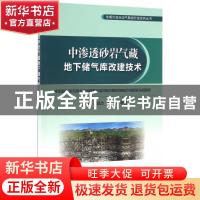 正版 中渗透砂岩气藏地下储气库改建技术 钱根葆,王延杰,王彬等