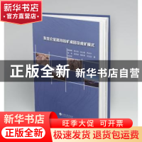 正版 东昆仑驼路沟钴矿成因及成矿模式 沈小荣 云南大学出版社 9