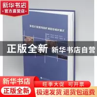 正版 东昆仑驼路沟钴矿成因及成矿模式 沈小荣 云南大学出版社 9