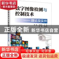 正版 数字图像检测与控制技术——理论及实例 王伟 化学工业出版