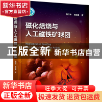 正版 磁化焙烧与人工磁铁矿球团 张汉泉,路漫漫著 化学工业出版