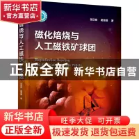 正版 磁化焙烧与人工磁铁矿球团 张汉泉,路漫漫著 化学工业出版
