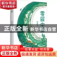 正版 零碳中国 陈楸帆 著 安徽少年儿童出版社 9787570714544 书