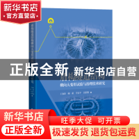 正版 盾构隧道结构横向大变形试验与治理技术研究 王如路 上海科