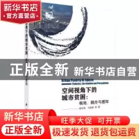 正版 空间视角下的城市贫困:格局、耦合与感知:patterns, correla