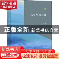 正版 文学理论九讲 王一川 商务印书馆有限公司 9787100210126 书