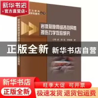正版 岩体裂隙网络各向异性损伤力学效应研究 陈新,杨强,李德建
