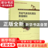 正版 页岩气渗流机理及数值模拟 郭肖编著 科学出版社 9787030429