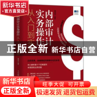 正版 内部审计实务操作从入门到实战 惠增强 人民邮电出版社 978