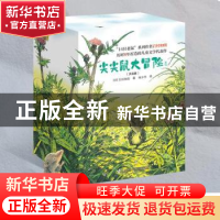 正版 尖尖鼠大冒险(全8册) (日)岩村和朗 接力出版社 978754486