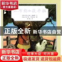 正版 江布朗和夜半猫(精)/海豚绘本花园 (澳大利亚)简妮·魏格娜|