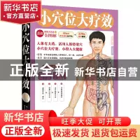 正版 小穴位大疗效(健康大学堂) 健康中国名家论坛编委会 吉林出