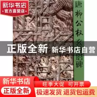 正版 唐柳公权玄秘塔碑/正楷名碑名帖导临 董庆哲 山东美术 97875